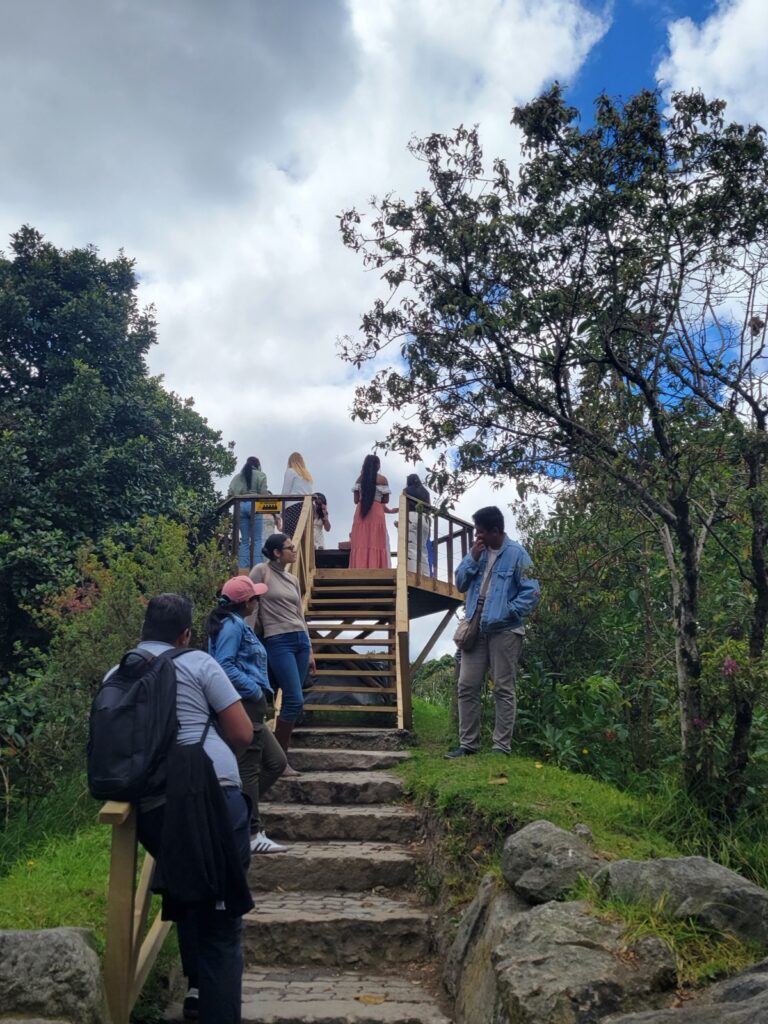Students at a scenic lookout